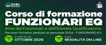 CORSO DI FORMAZIONE ON LINE PER FUNZIONARI ED ELEVATE QUALIFICAZIONI A CURA DI CISL SCUOLA E IRSEF-IRFED